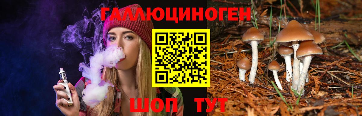 Галлюциногенные грибы Psilocybe Кировск